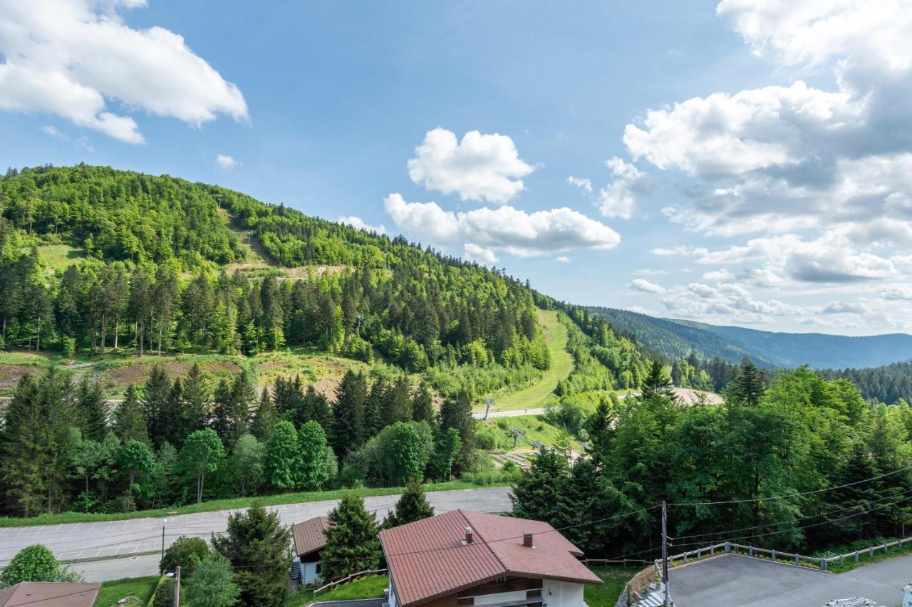 Le Petit Sapin Daire La Bresse Dış mekan fotoğraf